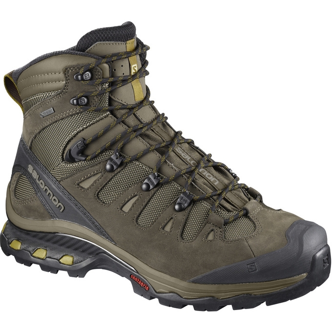 Botas Montaña Salomon QUEST 4D 3 GTX Hombre Marrom Negros | MX-819IPSE