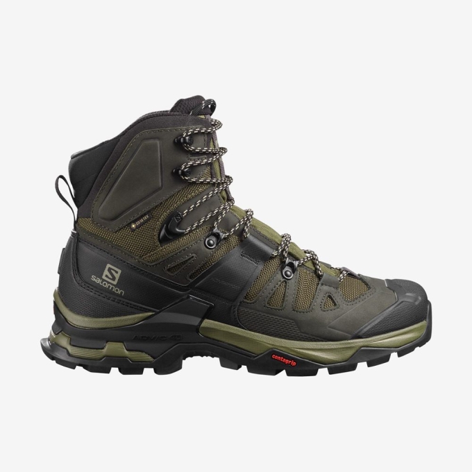 Botas Montaña Salomon QUEST 4 GORE-TEX Hombre Verde Oliva | MX-370NLIM