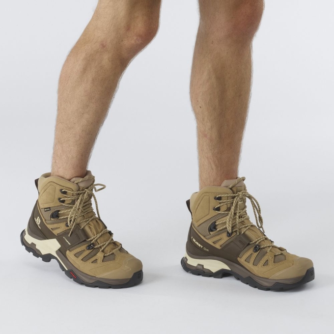 Botas Montaña Salomon QUEST 4 GORE-TEX Hombre Kaki | MX-930OJTL