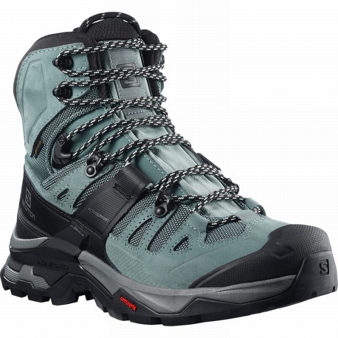 Botas Montaña Salomon QUEST 4 GORE-TEX Mujer Verdes Azules | MX-281DKPL