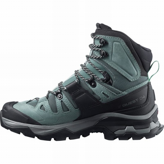 Botas Montaña Salomon QUEST 4 GORE-TEX Mujer Verdes Azules | MX-281DKPL