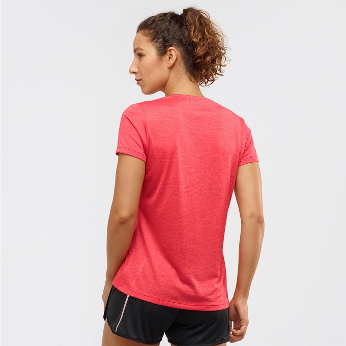 Camiseta Salomon AGILE SS W Mujer Orangered | MX-621BZUA