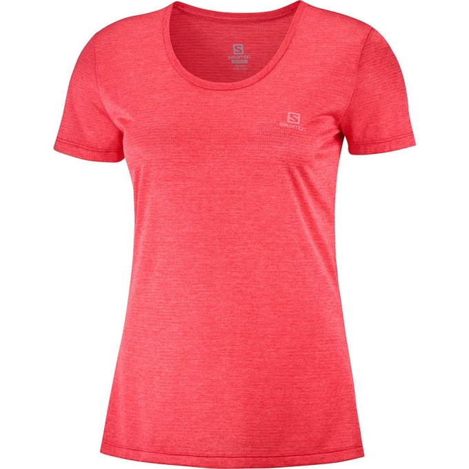 Camiseta Salomon AGILE SS W Mujer Orangered | MX-621BZUA