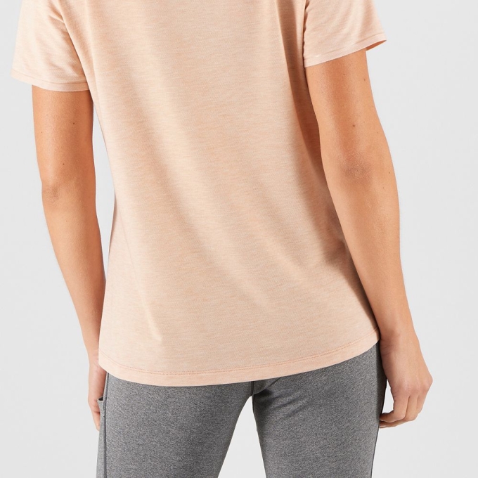 Camiseta Salomon ESSENTIAL TENCEL Mujer Beige | MX-813RTXZ