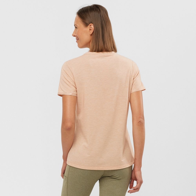 Camiseta Salomon ESSENTIAL TENCEL Mujer Beige | MX-813RTXZ