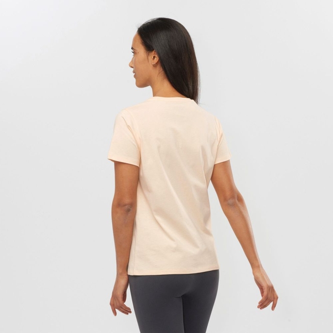 Camiseta Salomon OUTLIFE SMALL LOGO SS W Corta Sleeve Mujer Kaki | MX-372BZWS