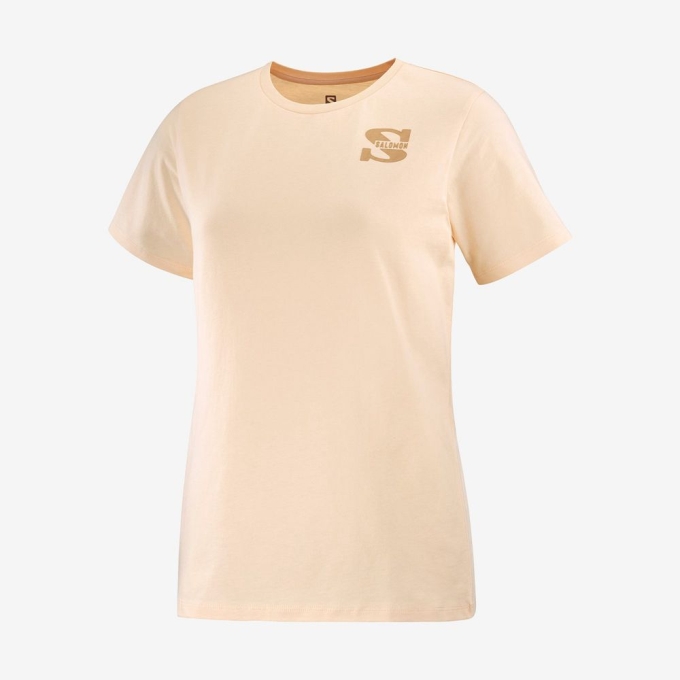 Camiseta Salomon OUTLIFE SMALL LOGO SS W Corta Sleeve Mujer Kaki | MX-372BZWS