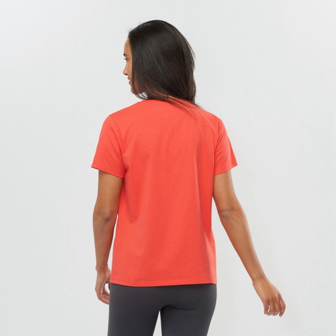 Camiseta Salomon OUTLIFE SMALL LOGO SS W Corta Sleeve Mujer Coral | MX-560FESM