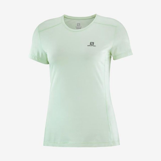 Camiseta Salomon XA Mujer Beige | MX-673IPVC