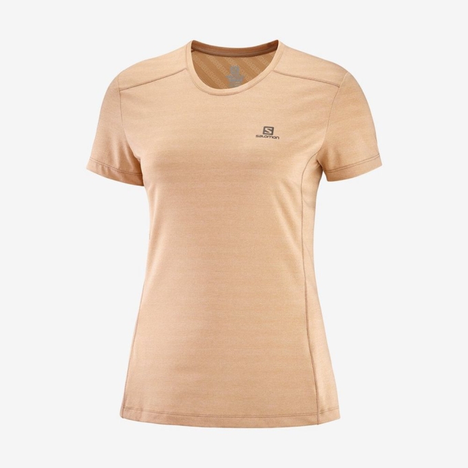 Camiseta Salomon XA Mujer Beige | MX-673IPVC