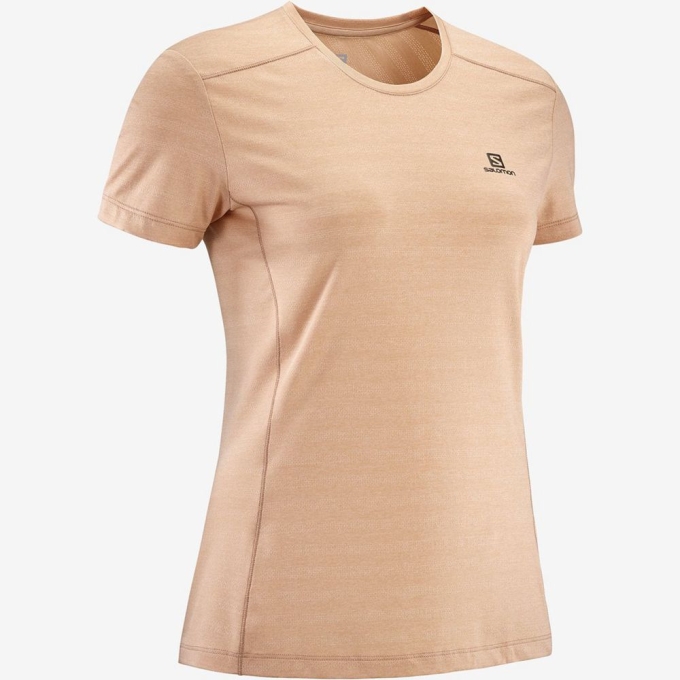 Camiseta Salomon XA Mujer Beige | MX-673IPVC