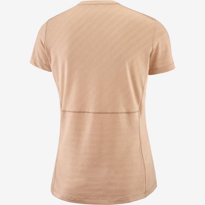 Camiseta Salomon XA Mujer Beige | MX-673IPVC