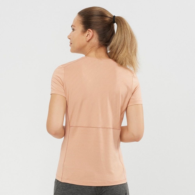 Camiseta Salomon XA Mujer Beige | MX-673IPVC