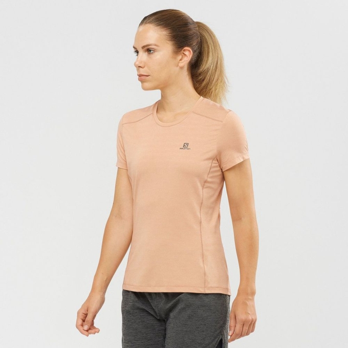 Camiseta Salomon XA Mujer Beige | MX-673IPVC