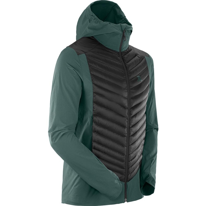 Chaquetas Salomon HALOES DOWN HYBRID M Hombre Verdes | MX-783LKJW