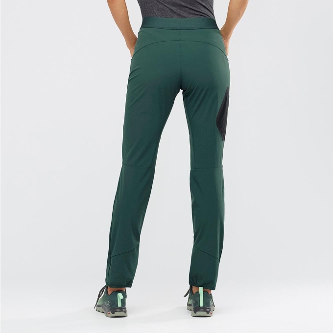 Pantalones Salomon WAYFARER ALPINE W Mujer Verdes | MX-013IFUX