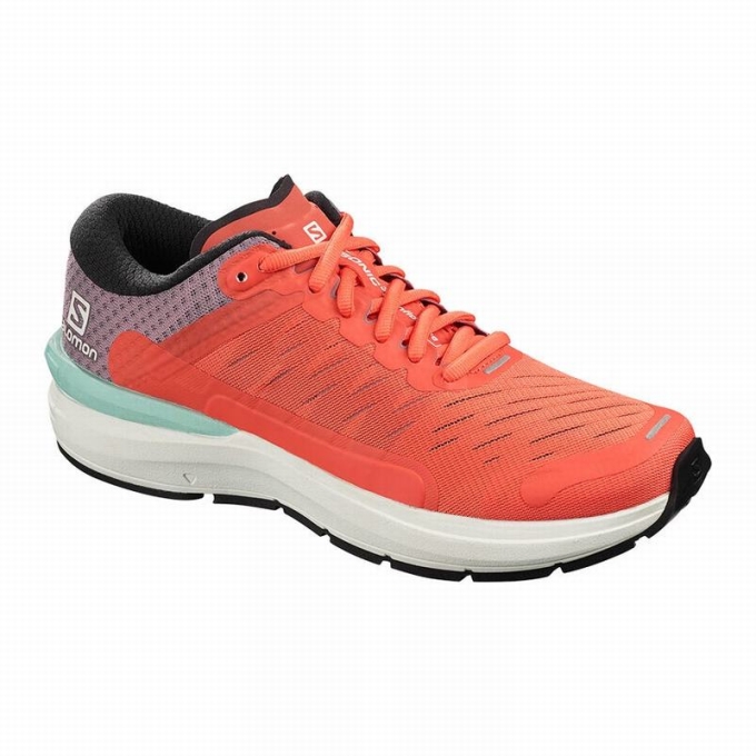 Tenis Para Correr Salomon SONIC 3 CONFIDENCE W Mujer Marrom Blancos | MX-238GOCZ