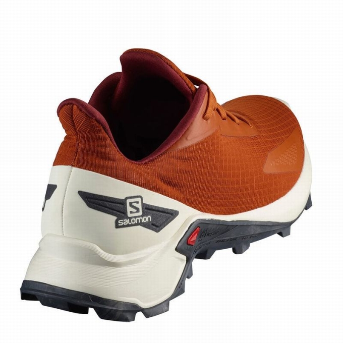 Tenis Para Trail Running Salomon ALPHACROSS BLAST Hombre Naranjas | MX-064NVIE