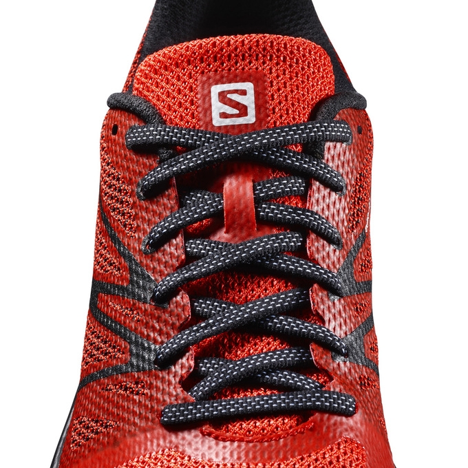 Tenis Para Trail Running Salomon SENSE ESE Hombre Grises Amarillos | MX-265TBDG