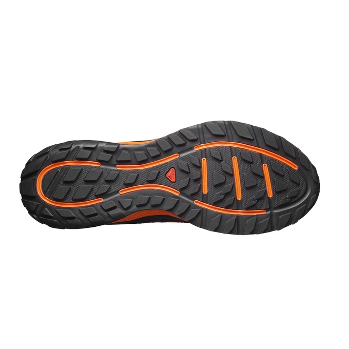 Tenis Para Trail Running Salomon SENSE ESE Hombre Grises Amarillos | MX-265TBDG