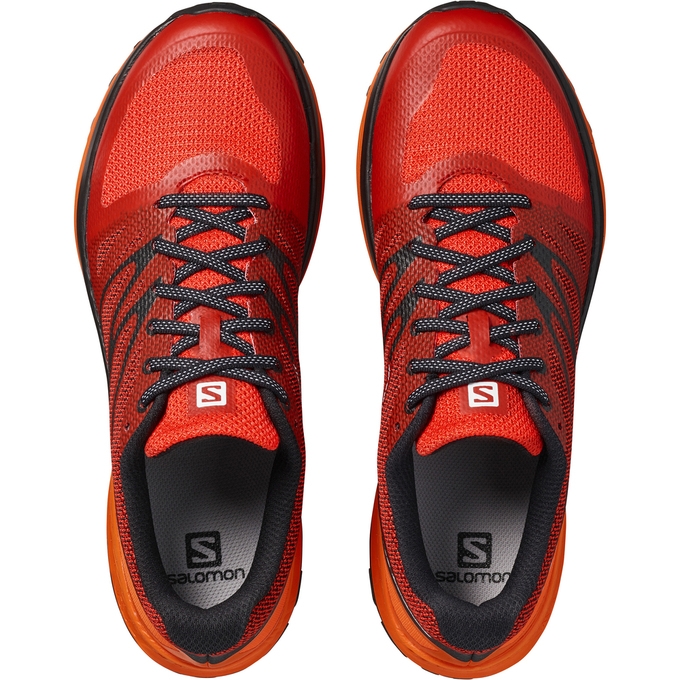 Tenis Para Trail Running Salomon SENSE ESE Hombre Grises Amarillos | MX-265TBDG