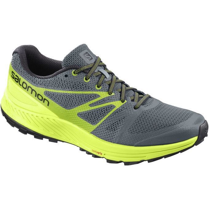 Tenis Para Trail Running Salomon SENSE ESE Hombre Grises Amarillos | MX-265TBDG