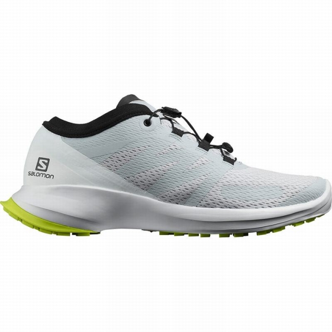 Tenis Para Trail Running Salomon SENSE FLOW Hombre Blancos Grises | MX-067XDUR