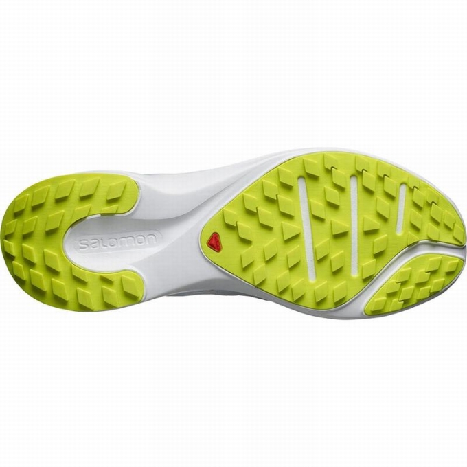 Tenis Para Trail Running Salomon SENSE FLOW Hombre Blancos Grises | MX-067XDUR