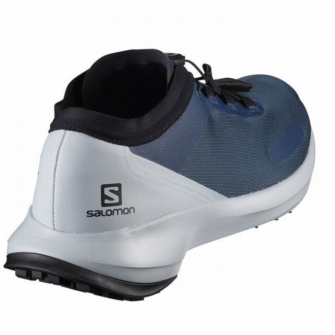 Tenis Para Trail Running Salomon SENSE FEEL Hombre Azules | MX-307SDEA