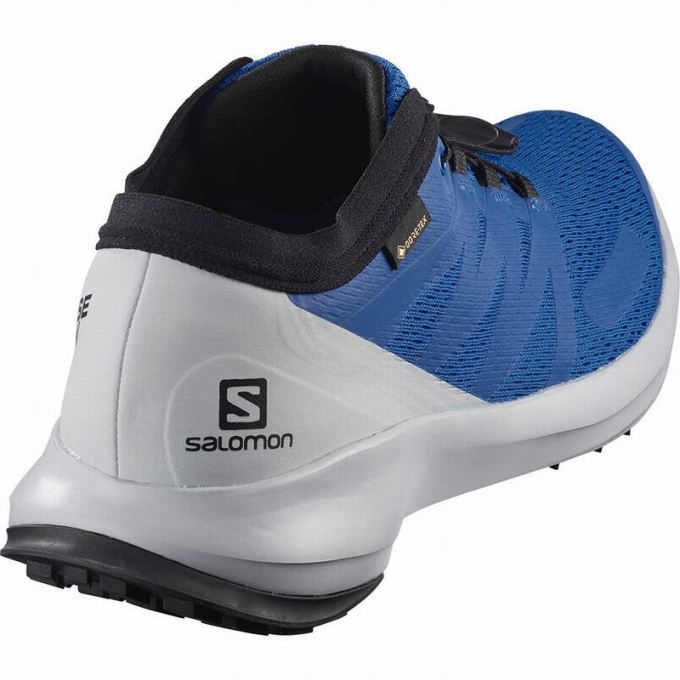 Tenis Para Trail Running Salomon SENSE FLOW GTX Hombre Azules | MX-412XLQF