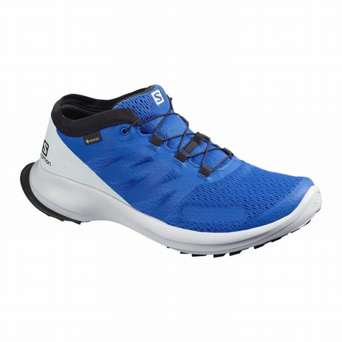 Tenis Para Trail Running Salomon SENSE FLOW GTX Hombre Azules | MX-412XLQF