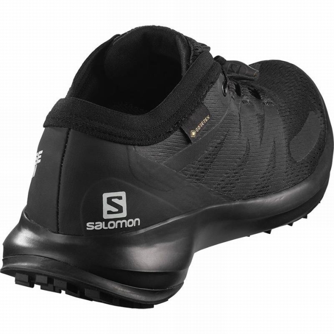 Tenis Para Trail Running Salomon SENSE FLOW GTX W Mujer Negros | MX-432ITSL