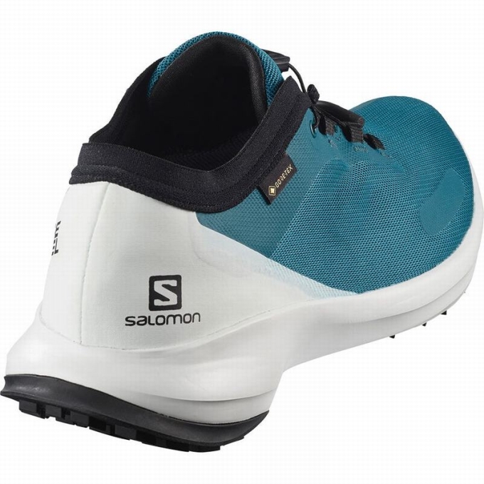 Tenis Para Trail Running Salomon SENSE FEEL GTX Hombre Azules | MX-641YRHZ