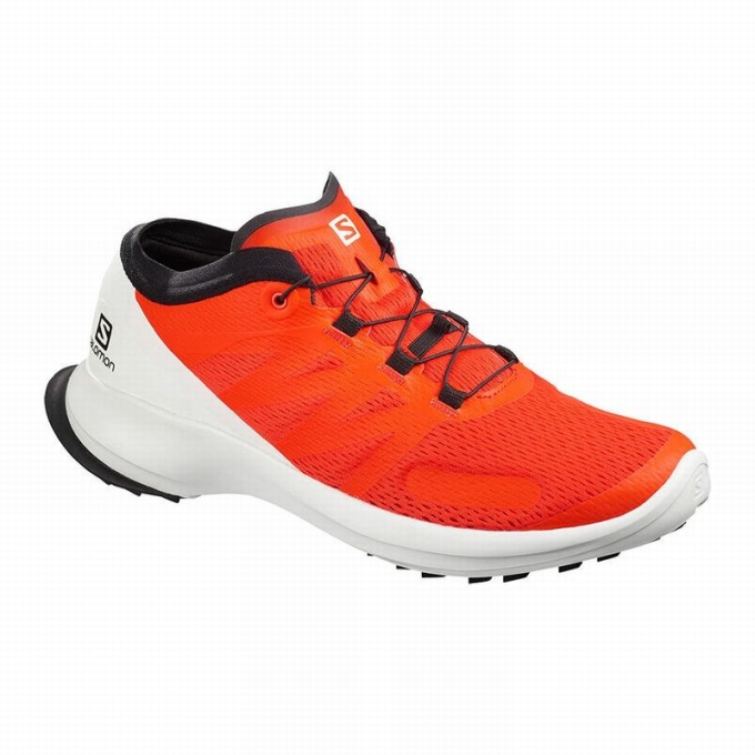 Tenis Para Trail Running Salomon SENSE FLOW Hombre Naranjas | MX-712HYGL