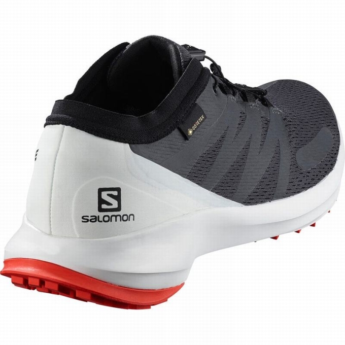 Tenis Para Trail Running Salomon SENSE FLOW GTX Hombre Negros | MX-973VADW