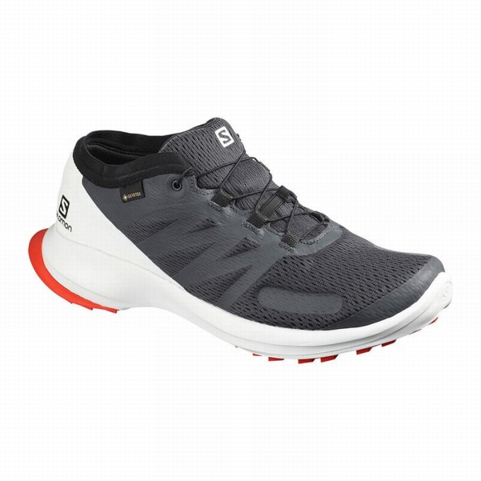 Tenis Para Trail Running Salomon SENSE FLOW GTX Hombre Negros | MX-973VADW