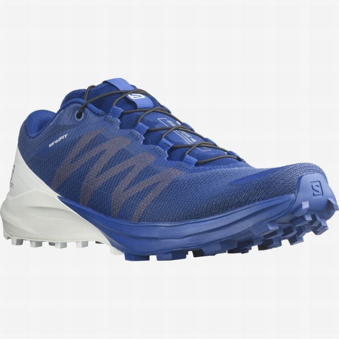 Tenis Para Trail Running Salomon SENSE PRO 4 Hombre Blancos Albaricoque | MX-135TJPQ