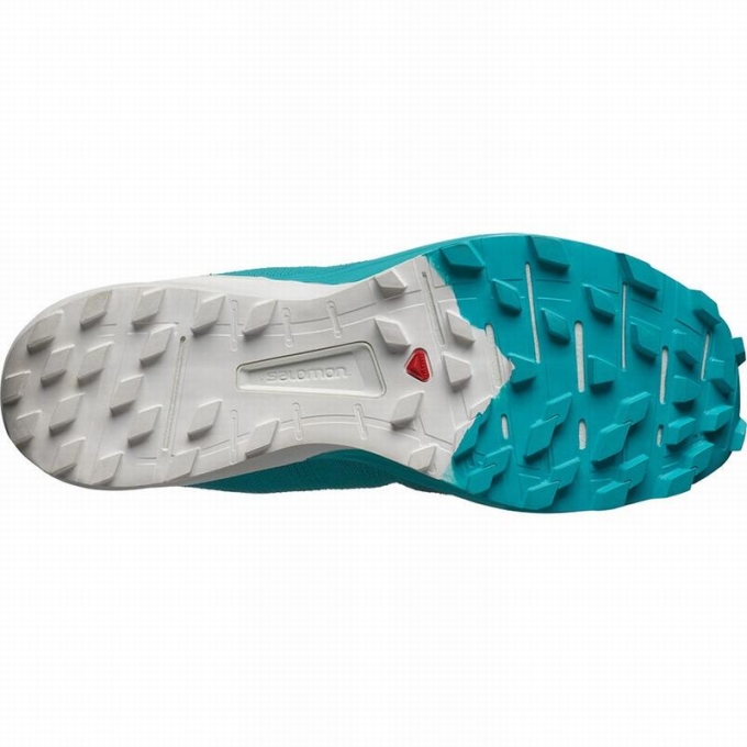 Tenis Para Trail Running Salomon SENSE PRO 4 Mujer Azules Blancos | MX-250GHLB