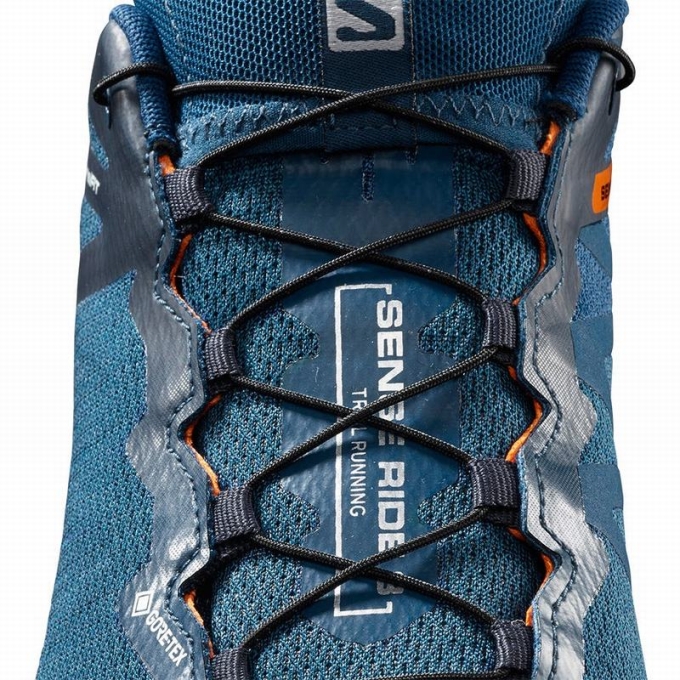 Tenis Para Trail Running Salomon SENSE RIDE 3 GTX INVIS. FIT Hombre Azul Marino | MX-107FNUC