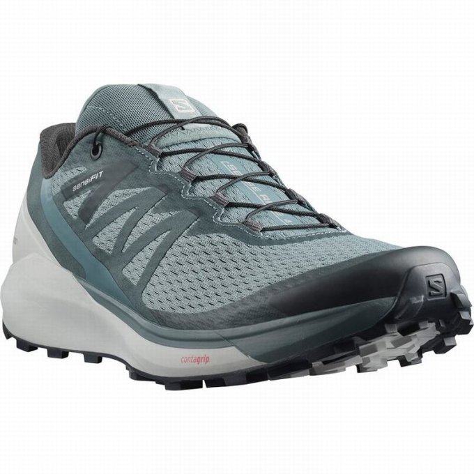 Tenis Para Trail Running Salomon SENSE RIDE 4 Hombre Verdes | MX-357GSRP