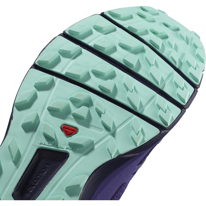 Tenis Para Trail Running Salomon SENSE RIDE W Mujer Lavanda | MX-369DIJC