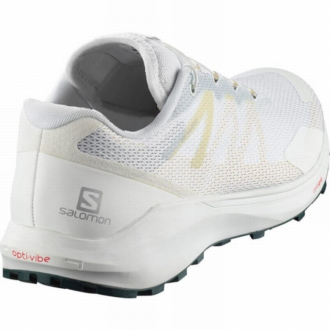 Tenis Para Trail Running Salomon SENSE RIDE 3 Hombre Blancos | MX-389KXYC