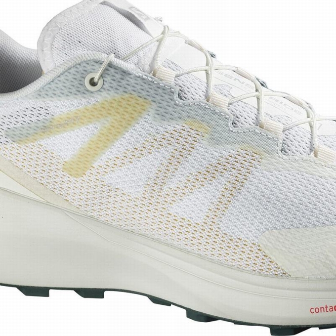 Tenis Para Trail Running Salomon SENSE RIDE 3 Hombre Blancos | MX-389KXYC