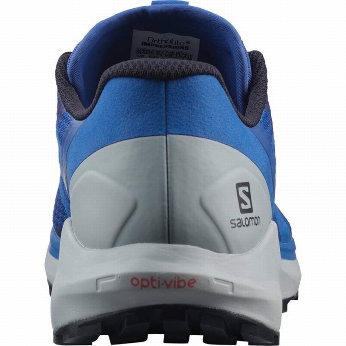 Tenis Para Trail Running Salomon SENSE RIDE 4 Hombre Azules | MX-652DFEL