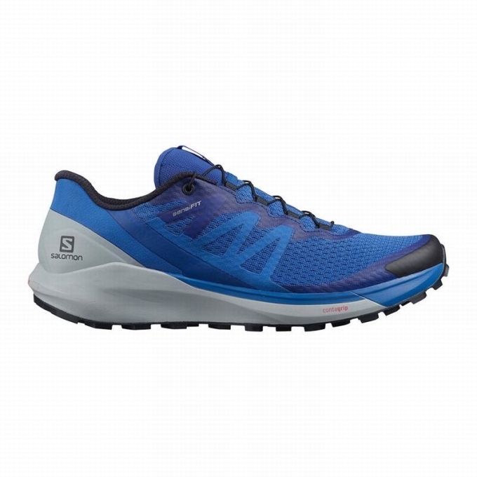 Tenis Para Trail Running Salomon SENSE RIDE 4 Hombre Azules | MX-652DFEL