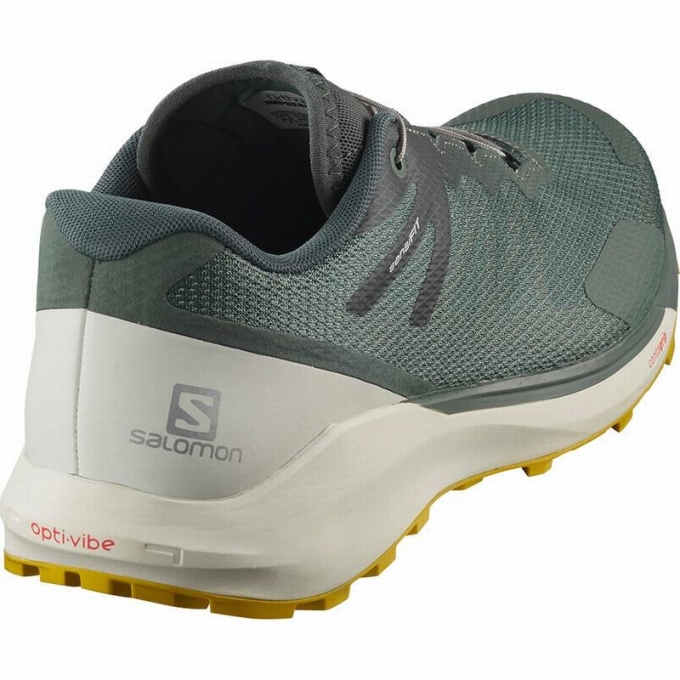 Tenis Para Trail Running Salomon SENSE RIDE 3 Hombre Verde Oliva | MX-847NLET