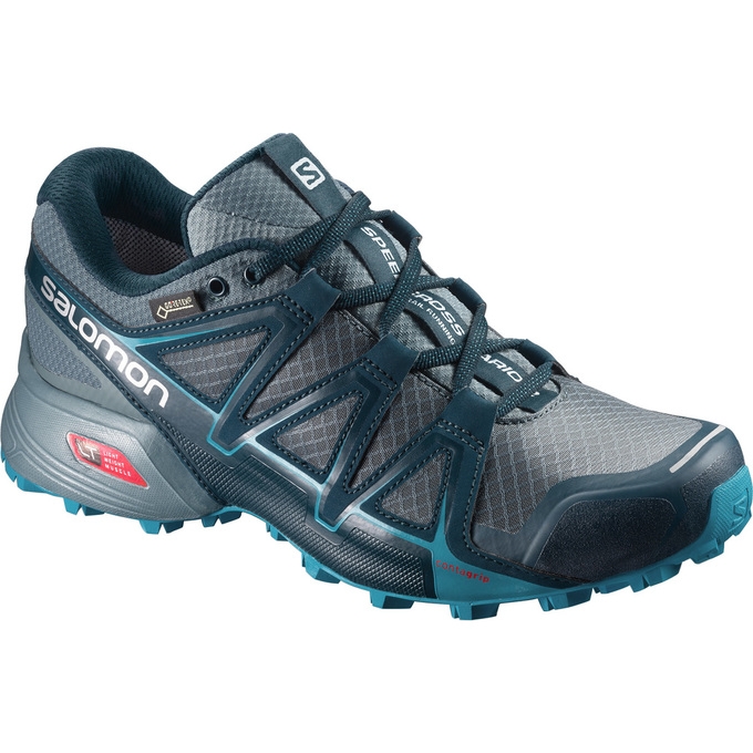 Tenis Para Trail Running Salomon SPEEDCROSS VARIO 2 GTX W Mujer Plateados | MX-206TOLJ