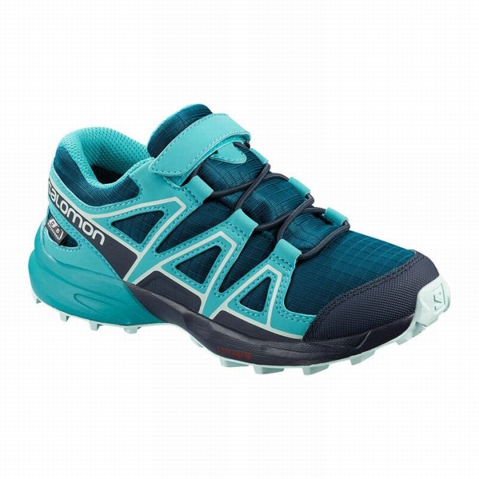 Tenis Para Trail Running Salomon SPEEDCROSS CLIMASALOMON WATERPROOF Niños Azules | MX-756XZHG