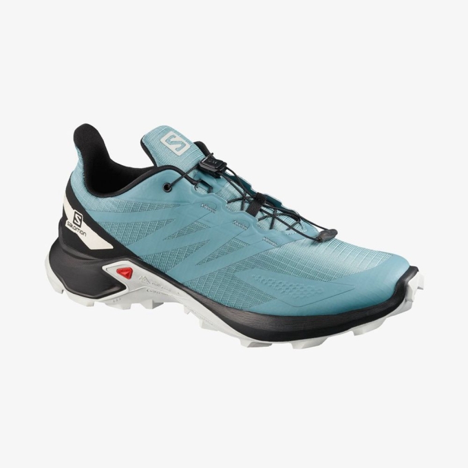 Tenis Para Trail Running Salomon SUPERCROSS BLAST Hombre Azules | MX-041AWLV