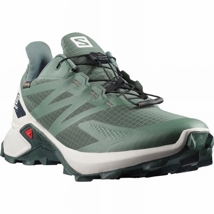 Tenis Para Trail Running Salomon SUPERCROSS BLAST GTX Hombre Verdes | MX-256BZNW